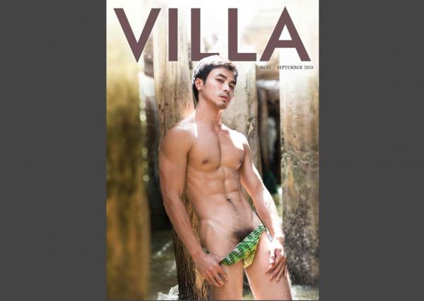 Villa--No.1